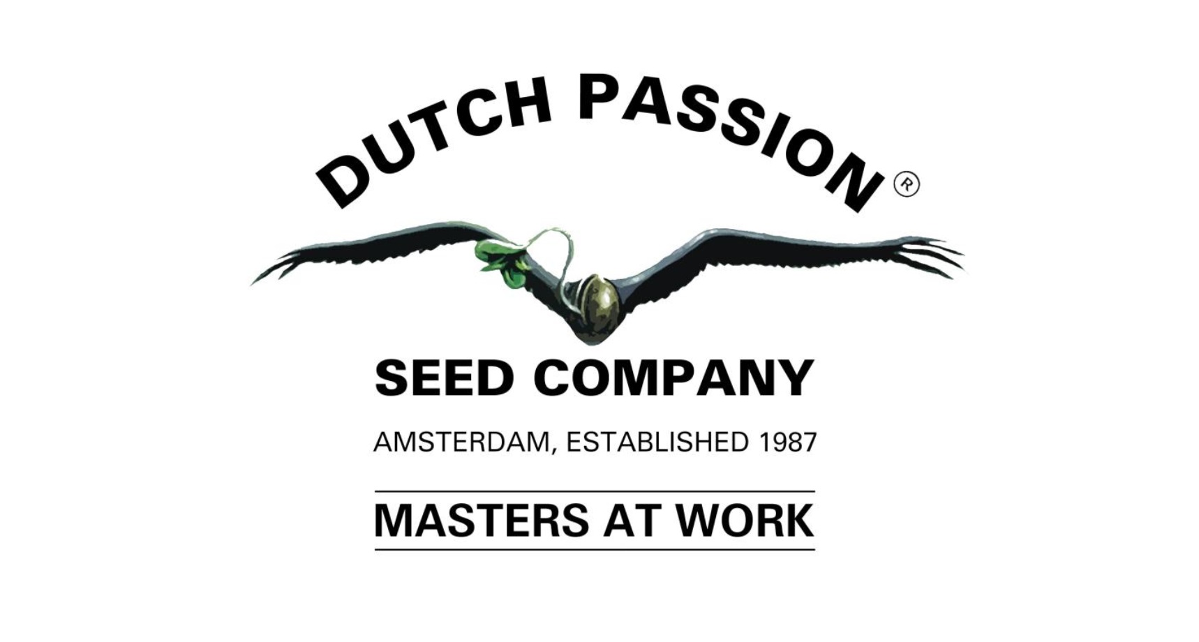 Feminizované semená vytvorila značka Dutch Passion
