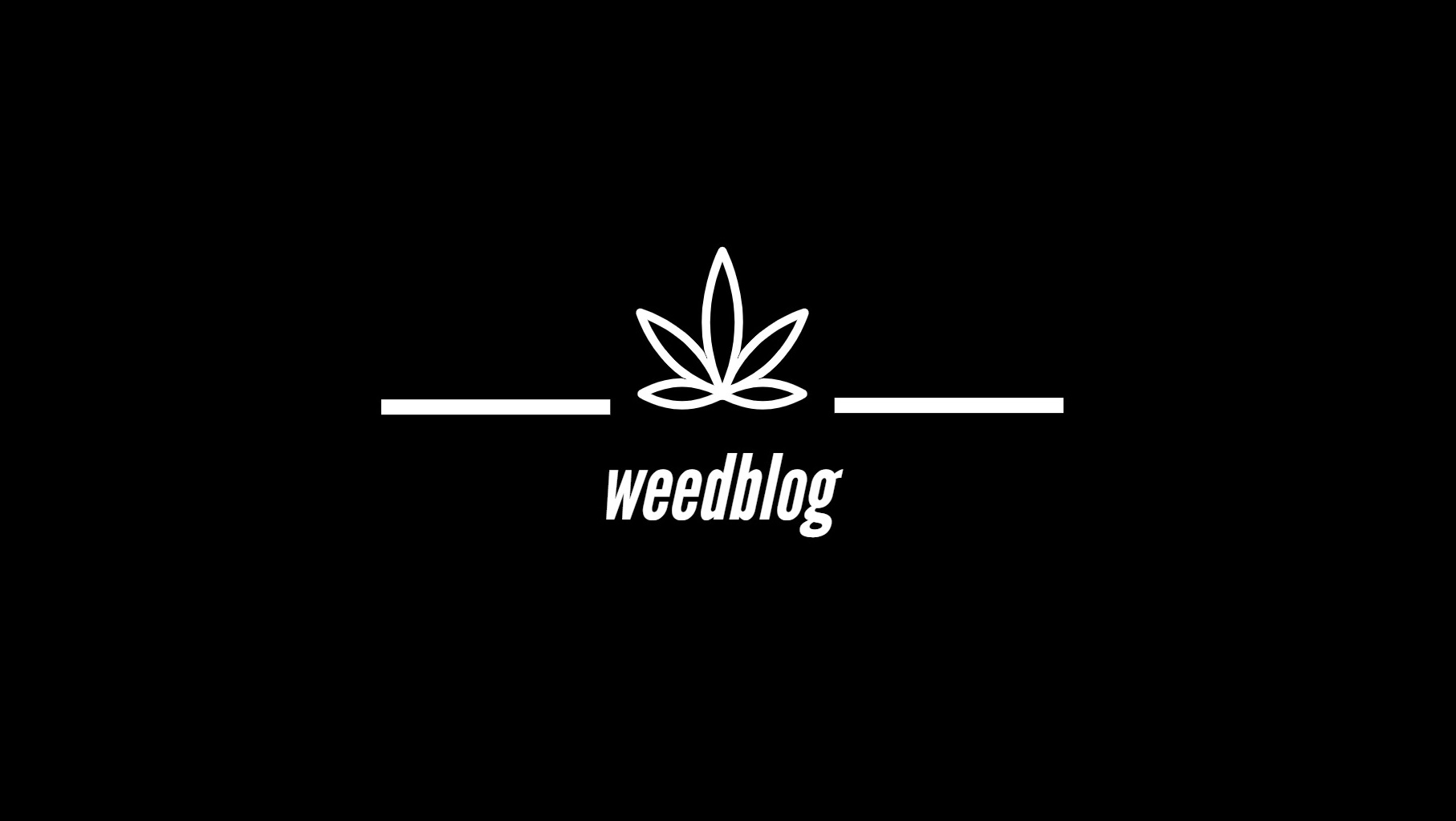 Weed Blog - weedblog.sk